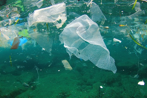 plastic bag ocean ver1