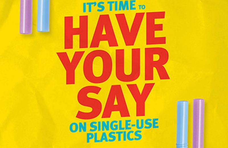 Single Use Plastics Banner